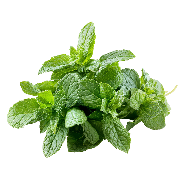 Peppermint